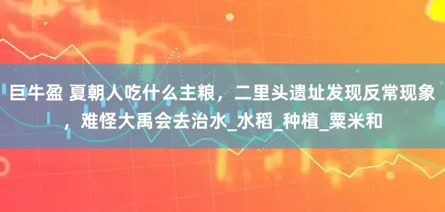 巨牛盈 夏朝人吃什么主粮，二里头遗址发现反常现象，难怪大禹会去治水_水稻_种植_粟米和