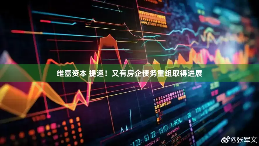 维嘉资本 提速！又有房企债务重组取得进展