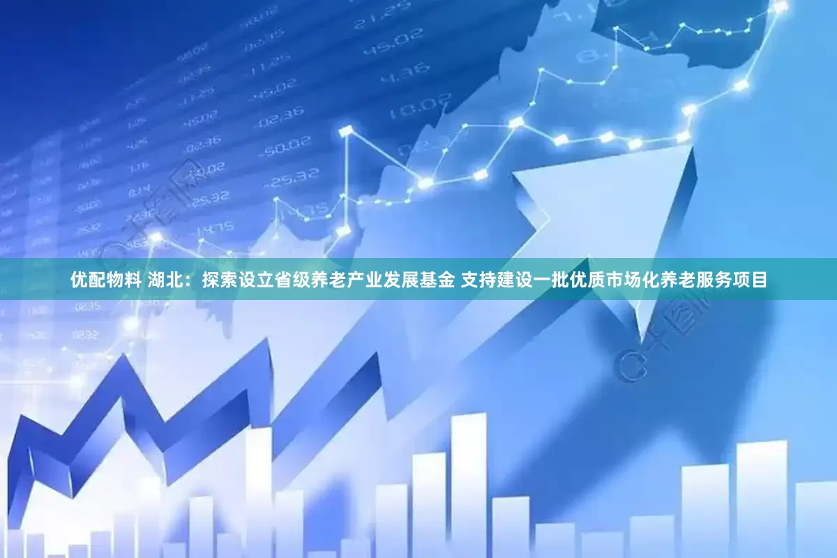 优配物料 湖北：探索设立省级养老产业发展基金 支持建设一批优质市场化养老服务项目
